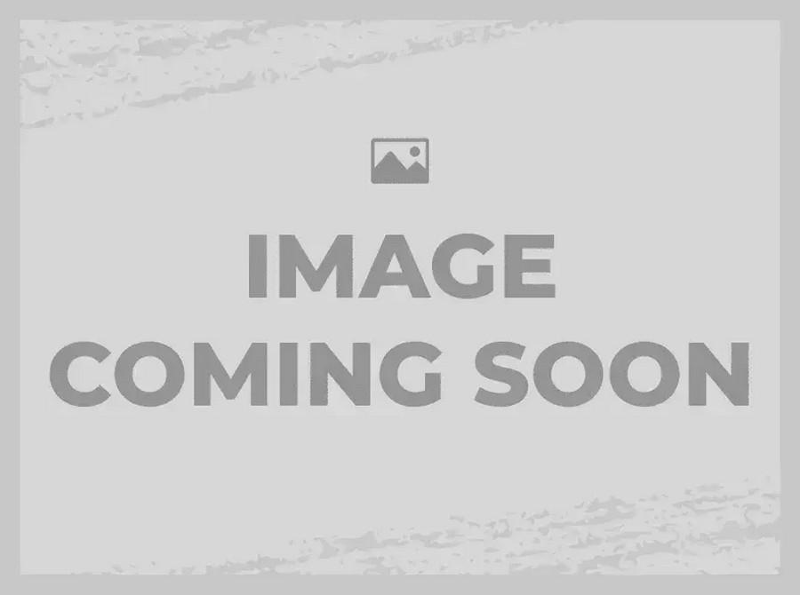 2017 Honda GOLDWING ABS