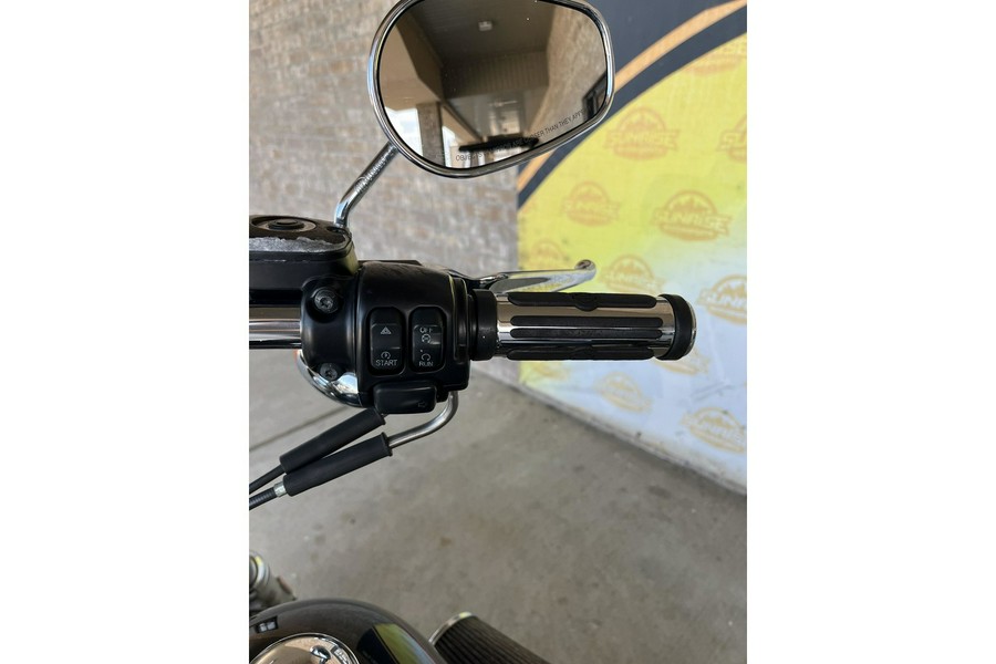 2014 Harley-Davidson® FXDL Low Rider®