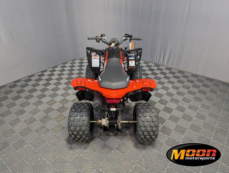 2026 Can-Am DS 250