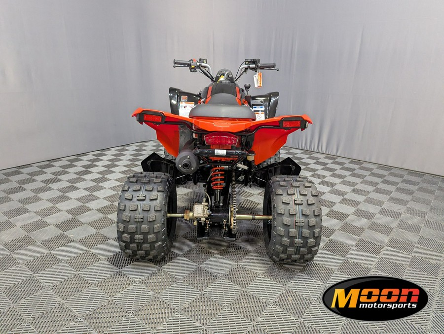 2026 Can-Am DS 250