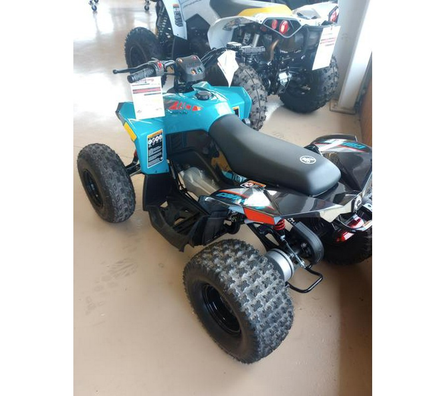 2024 Can-Am® Renegade 110 EFI