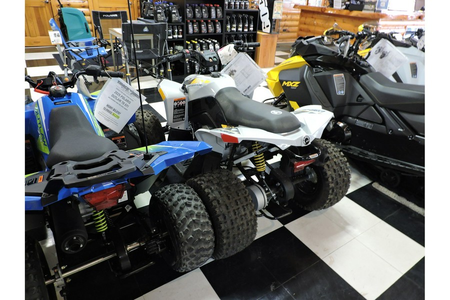 2024 Can-Am Renegade 110 EFI Gray & Yellow / Blue & Black