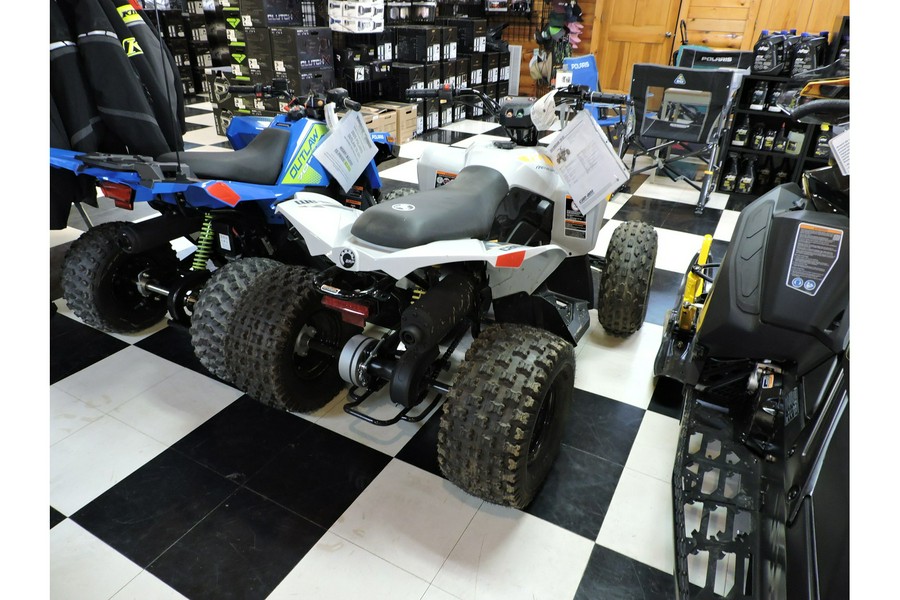 2024 Can-Am Renegade 110 EFI Gray & Yellow / Blue & Black