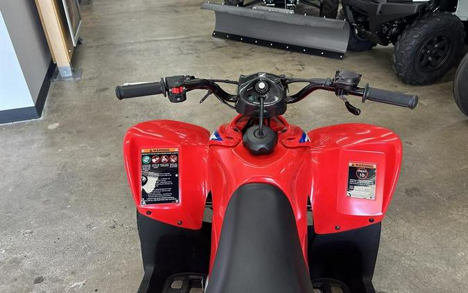 2024 Honda® TRX90X