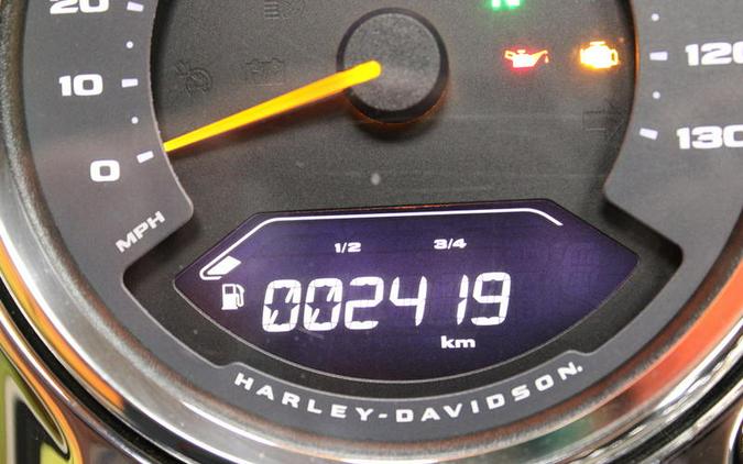 2024 Harley-Davidson® FLFBS