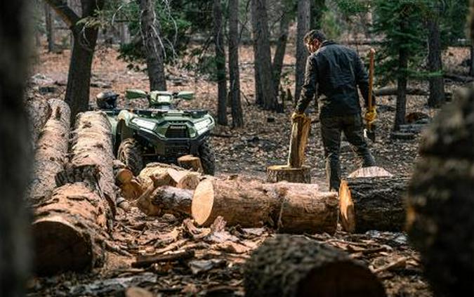 2025 Kawasaki Brute Force® 750 LE EPS