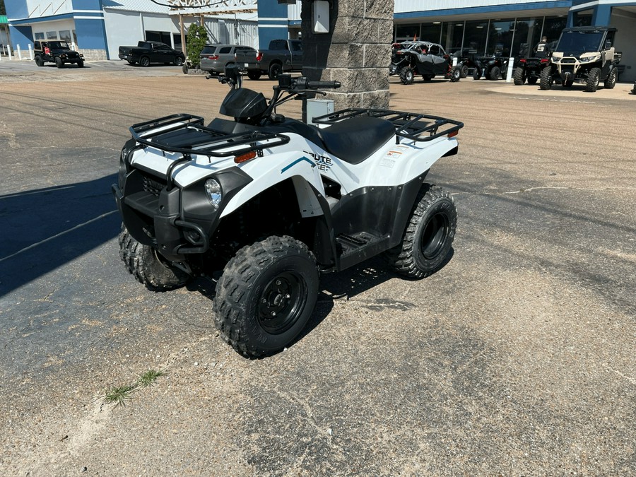 2022 Kawasaki Brute Force 300