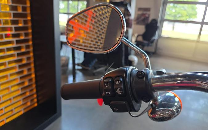 Harley-Davidson® Softail Standard® 2020