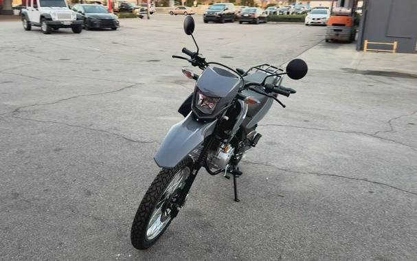 2025 Honda XR150L