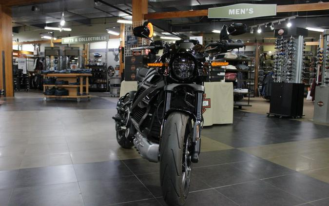 2020 Harley-Davidson® ELW - LiveWire™