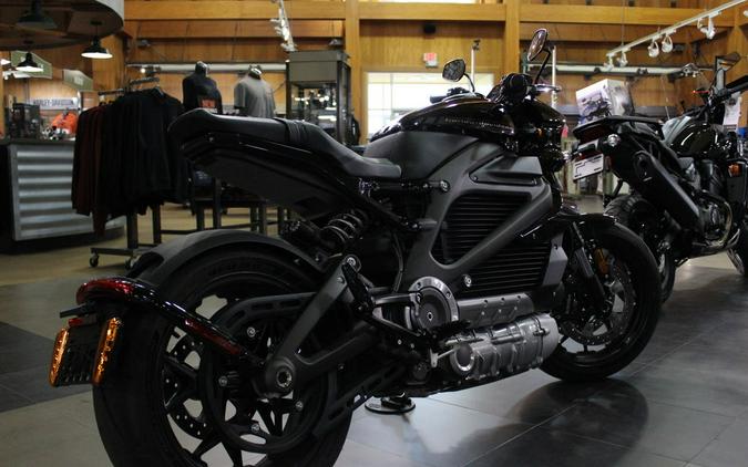 2020 Harley-Davidson® ELW - LiveWire™