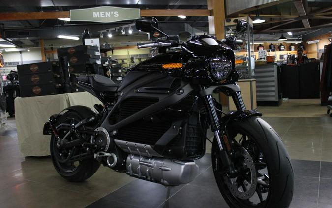 2020 Harley-Davidson® ELW - LiveWire™