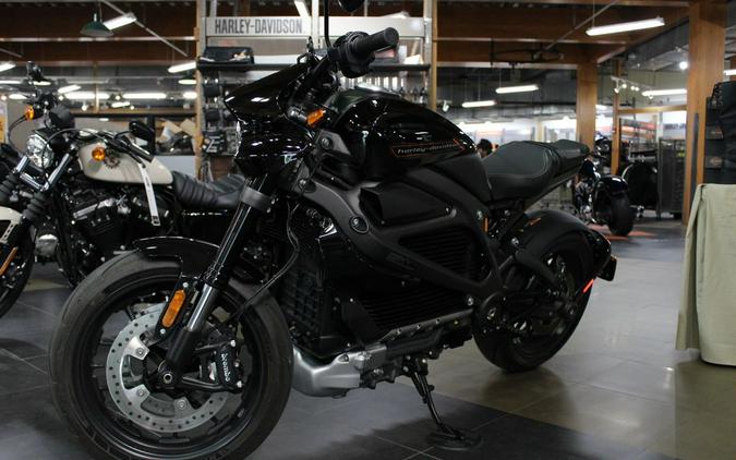 2020 Harley-Davidson® ELW - LiveWire™