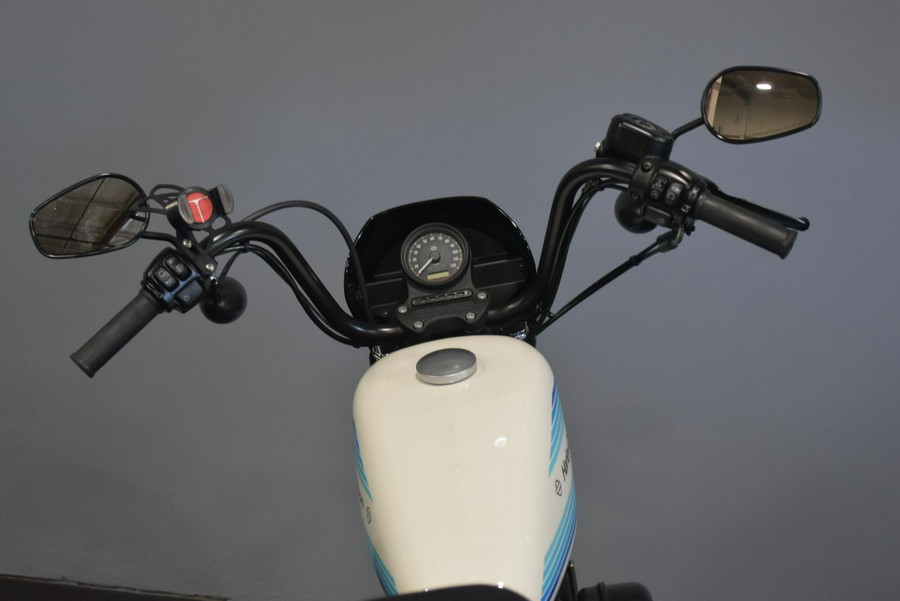 2019 Harley-Davidson Iron 1200 Billiard White