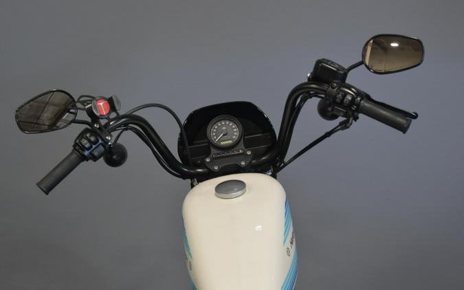 2019 Harley-Davidson Iron 1200 Billiard White