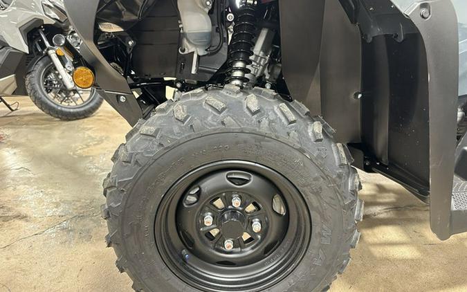 2025 Honda FourTrax Rancher 4x4 Automatic DCT EPS