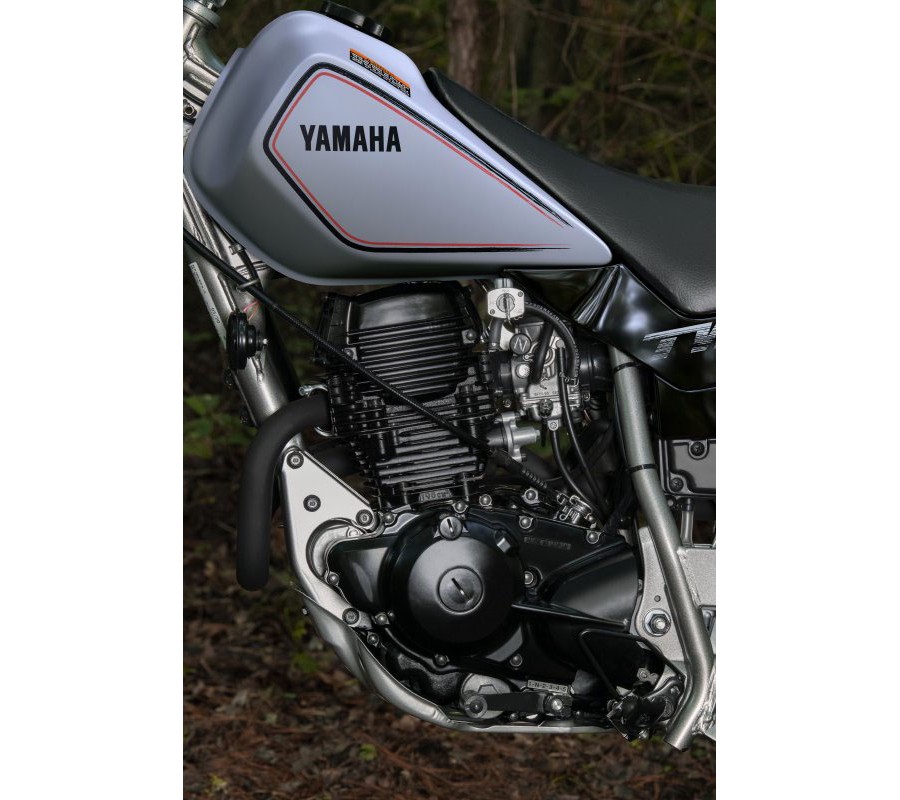 2027 Yamaha TW200