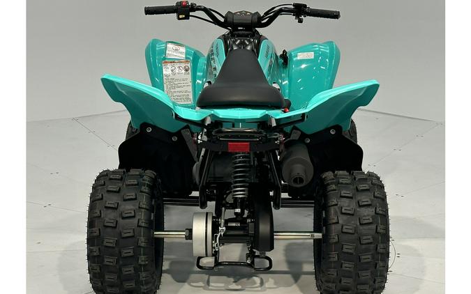 2024 Yamaha Raptor 110