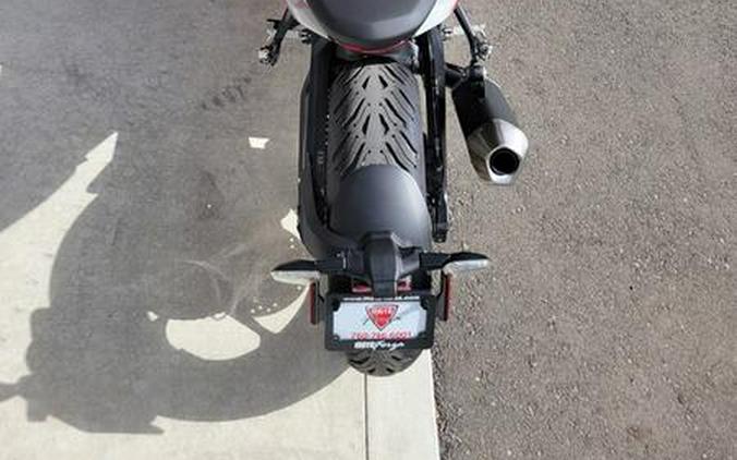 2026 Triumph Trident 800 Ash grey