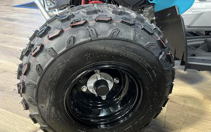 2026 Can-Am® Renegade 110 EFI