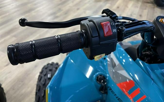 2026 Can-Am® Renegade 110 EFI