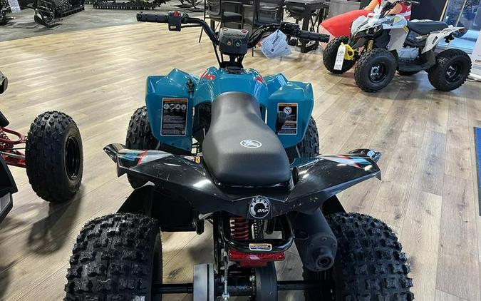 2026 Can-Am® Renegade 110 EFI