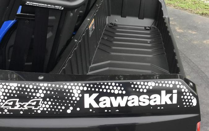 2024 Kawasaki Teryx4™