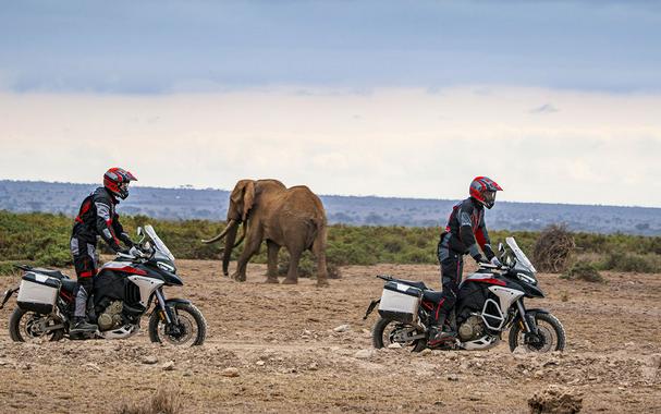 2024 Ducati Multistrada V4 Rally