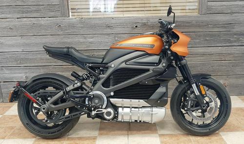 2020 Harley-Davidson LiveWire First Ride