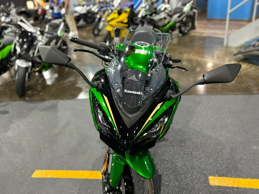 2025 Kawasaki NINJA 1100SX SE