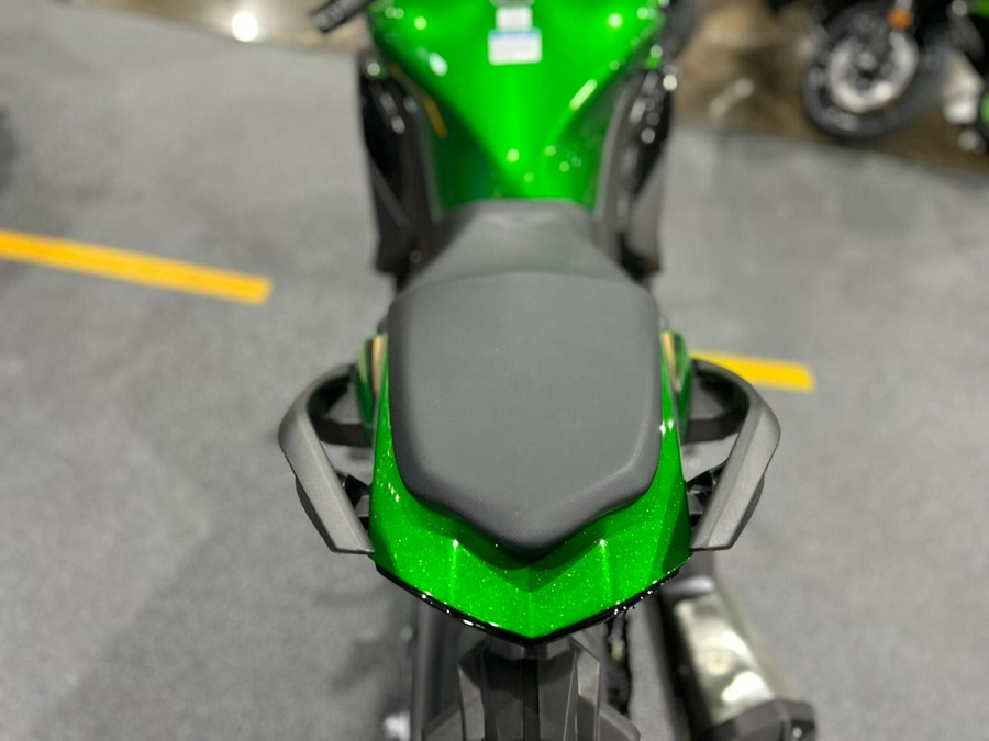 2025 Kawasaki NINJA 1100SX SE
