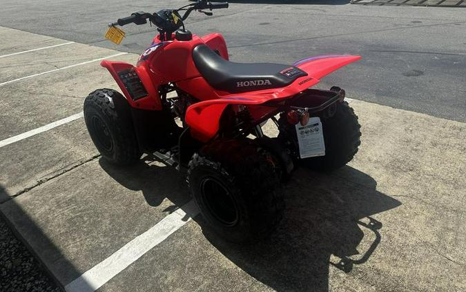 2024 Honda® TRX90X