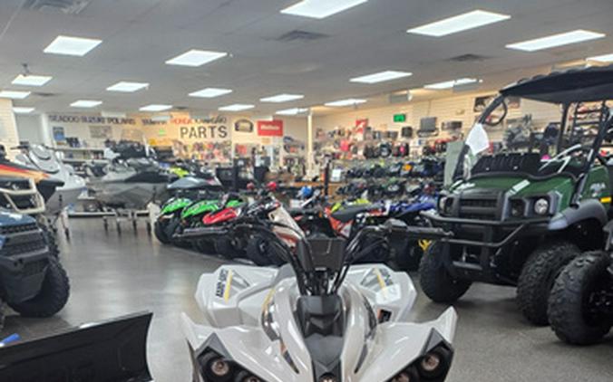 2026 Can-AM Renegade 70 EFI