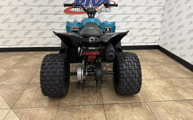 2024 Can-Am® Renegade 110 EFI