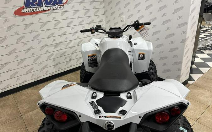 2024 Can-Am® Renegade 650