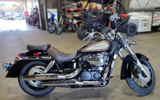 2024 Honda Shadow Aero First Look [Fast Facts]