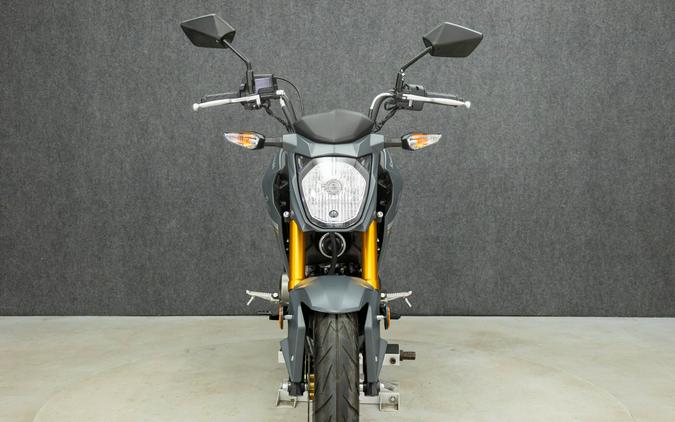 2024 KAWASAKI BR125 Z125 PRO
