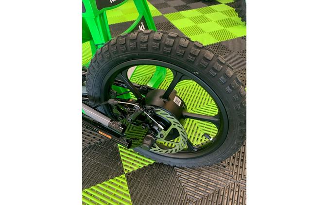 2025 ELEKTRODE® 16 - Kawasaki