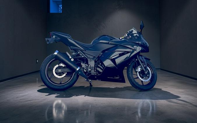 2012 Kawasaki Ninja® 250R