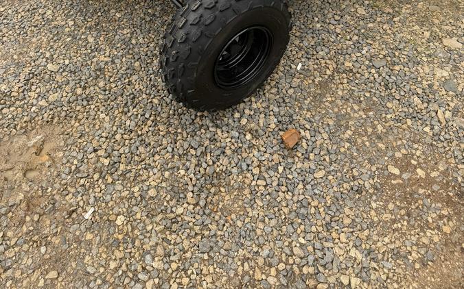 2026 Can-Am Renegade 110 EFI