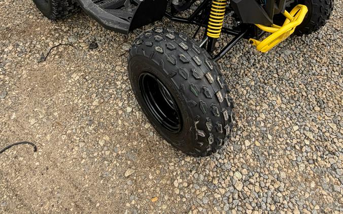 2026 Can-Am Renegade 110 EFI