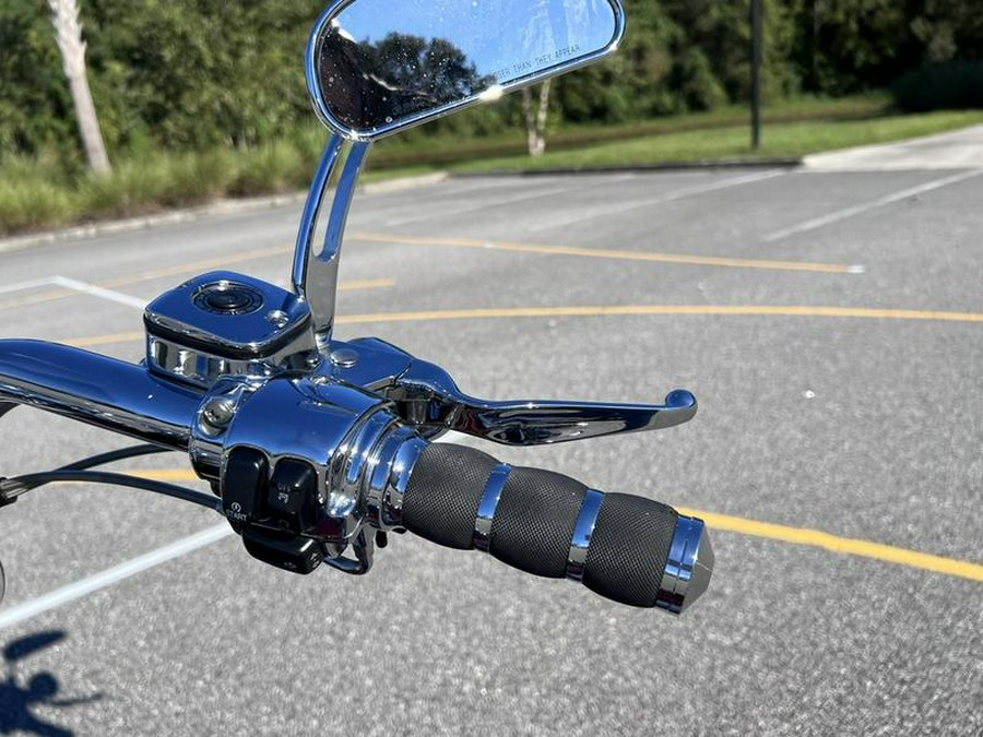 2005 Harley-Davidson® FLSTFSE