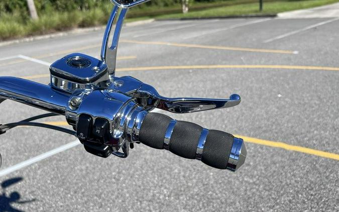 2005 Harley-Davidson® FLSTFSE