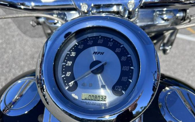 2005 Harley-Davidson® FLSTFSE