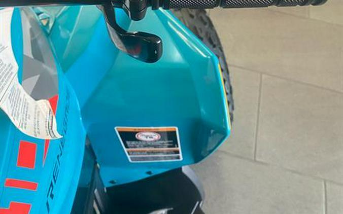 2026 Can-Am Renegade 110 EFI