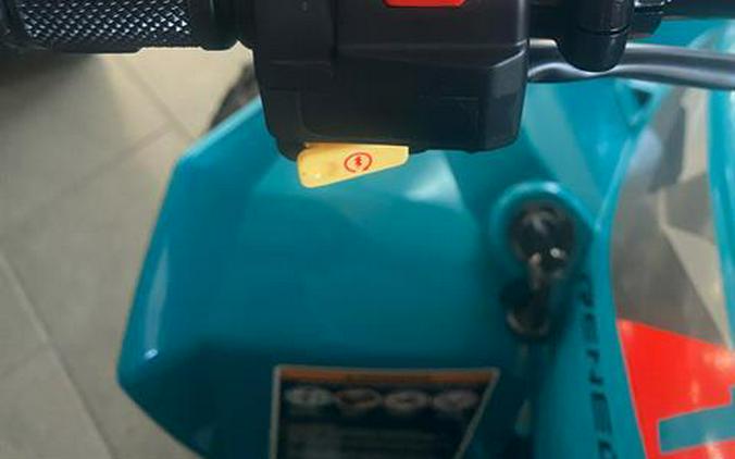 2026 Can-Am Renegade 110 EFI