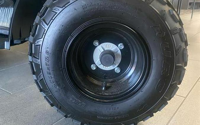 2026 Can-Am Renegade 110 EFI