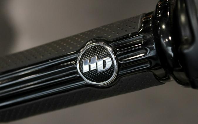 Used 2018 Harley-Davidson Softail Slim Motorcycle For Sale In Medina, OH