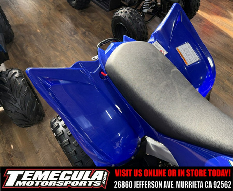 2026 Yamaha Raptor 110