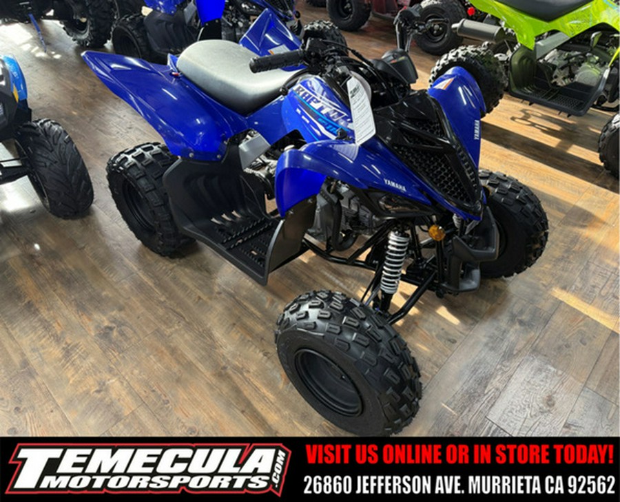 2026 Yamaha Raptor 110